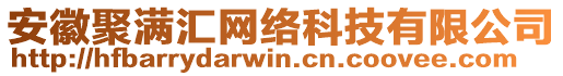 安徽聚滿匯網絡科技有限公司