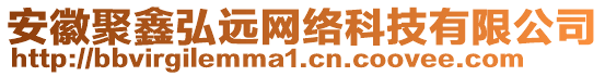 安徽聚鑫弘遠(yuǎn)網(wǎng)絡(luò)科技有限公司