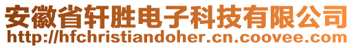 安徽省軒勝電子科技有限公司