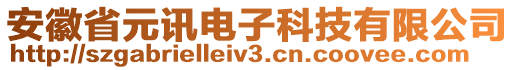 安徽省元訊電子科技有限公司