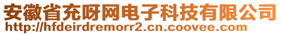 安徽省充呀網(wǎng)電子科技有限公司