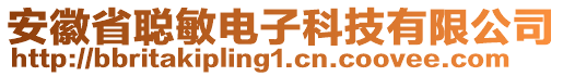 安徽省聰敏電子科技有限公司