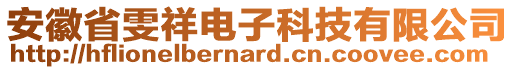 安徽省雯祥電子科技有限公司