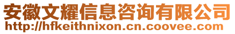 安徽文耀信息咨詢有限公司