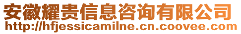 安徽耀貴信息咨詢有限公司