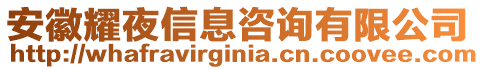 安徽耀夜信息咨詢(xún)有限公司