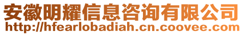 安徽明耀信息咨詢有限公司