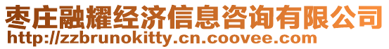 棗莊融耀經(jīng)濟(jì)信息咨詢有限公司