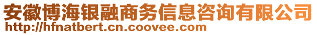 安徽博海銀融商務(wù)信息咨詢有限公司