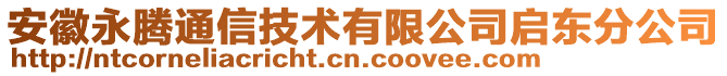 安徽永騰通信技術(shù)有限公司啟東分公司