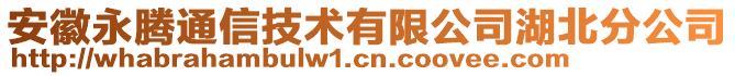 安徽永騰通信技術(shù)有限公司湖北分公司