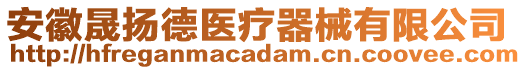 安徽晟揚德醫(yī)療器械有限公司
