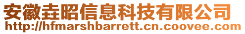 安徽垚昭信息科技有限公司