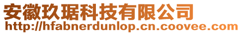 安徽玖琚科技有限公司