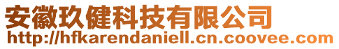 安徽玖健科技有限公司