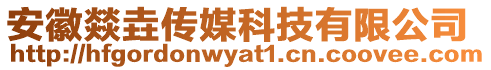 安徽燚垚傳媒科技有限公司