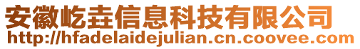 安徽屹垚信息科技有限公司