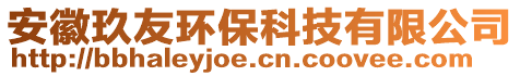 安徽玖友環(huán)保科技有限公司