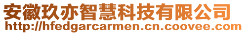 安徽玖亦智慧科技有限公司