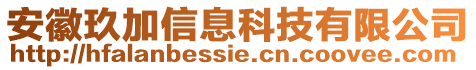 安徽玖加信息科技有限公司