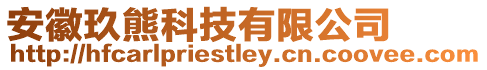 安徽玖熊科技有限公司