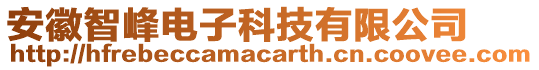 安徽智峰電子科技有限公司