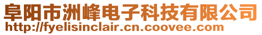 阜陽市洲峰電子科技有限公司