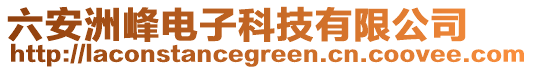 六安洲峰電子科技有限公司