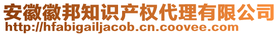 安徽徽邦知識產權代理有限公司