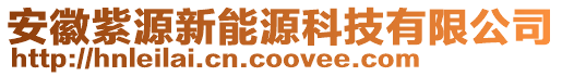 安徽紫源新能源科技有限公司