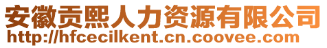 安徽貢熙人力資源有限公司