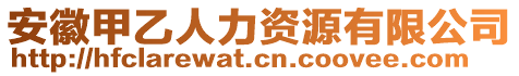 安徽甲乙人力資源有限公司