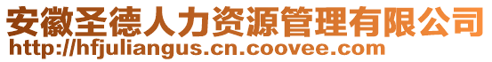 安徽圣德人力資源管理有限公司