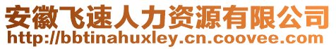 安徽飛速人力資源有限公司