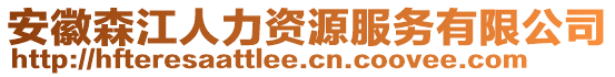 安徽森江人力資源服務(wù)有限公司