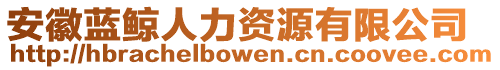 安徽藍(lán)鯨人力資源有限公司