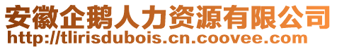 安徽企鵝人力資源有限公司