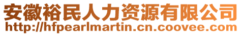 安徽裕民人力資源有限公司