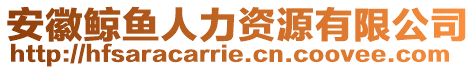 安徽鯨魚人力資源有限公司