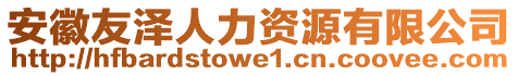 安徽友澤人力資源有限公司