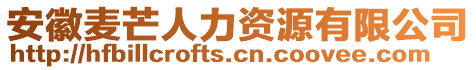 安徽麥芒人力資源有限公司