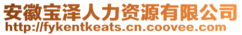 安徽寶澤人力資源有限公司
