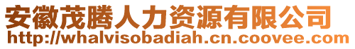 安徽茂騰人力資源有限公司