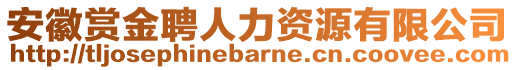 安徽賞金聘人力資源有限公司