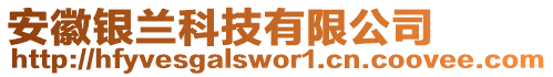 安徽銀蘭科技有限公司