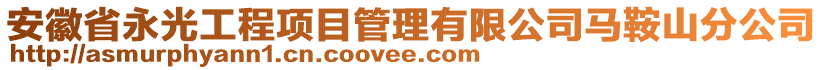 安徽省永光工程項目管理有限公司馬鞍山分公司