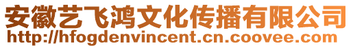 安徽藝飛鴻文化傳播有限公司