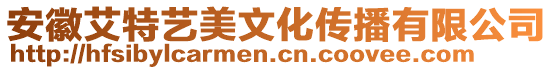 安徽艾特藝美文化傳播有限公司