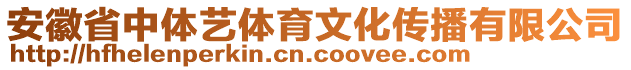 安徽省中體藝體育文化傳播有限公司