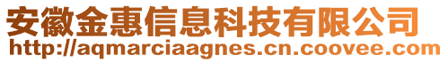 安徽金惠信息科技有限公司